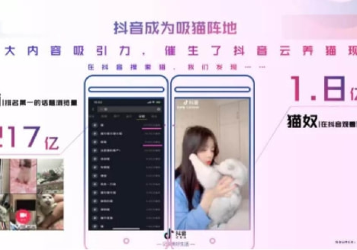 两分钟了解玖玖陆系统规律”(曝光透视必备猫腻)