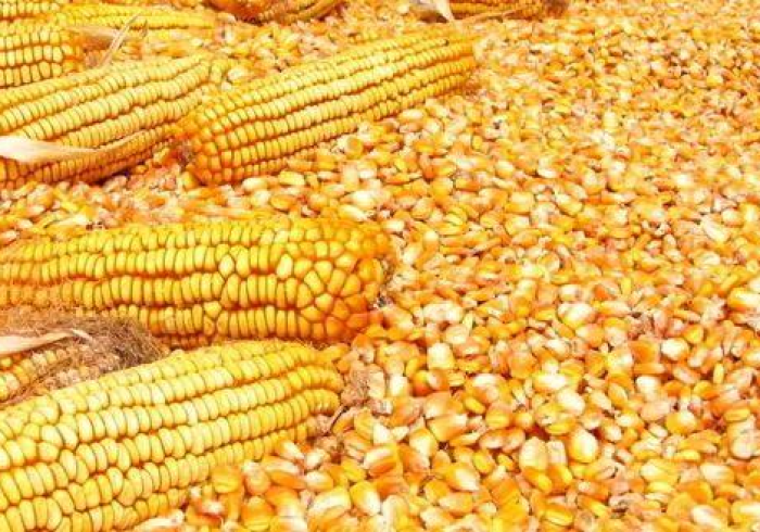 玩家实测“南宁地磅加减重量遥控器”AI实测推荐