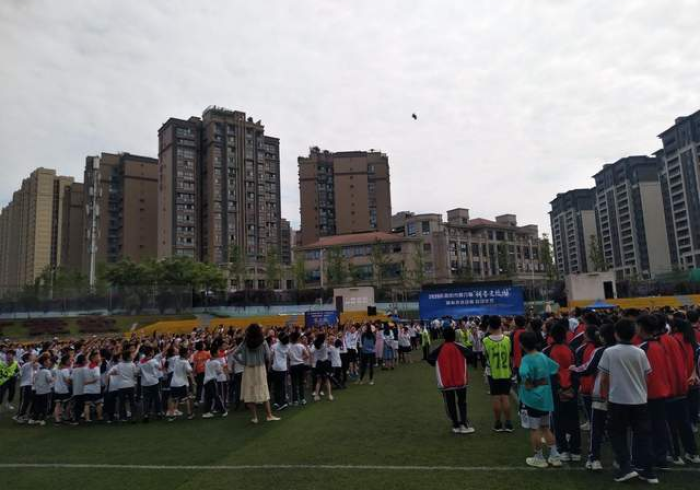 必看科普“智能麻将机控牌器真的存在吗”(详细控牌器教程) 必看科普“智能麻将机控牌器真的存在吗”(详细控牌器教程)