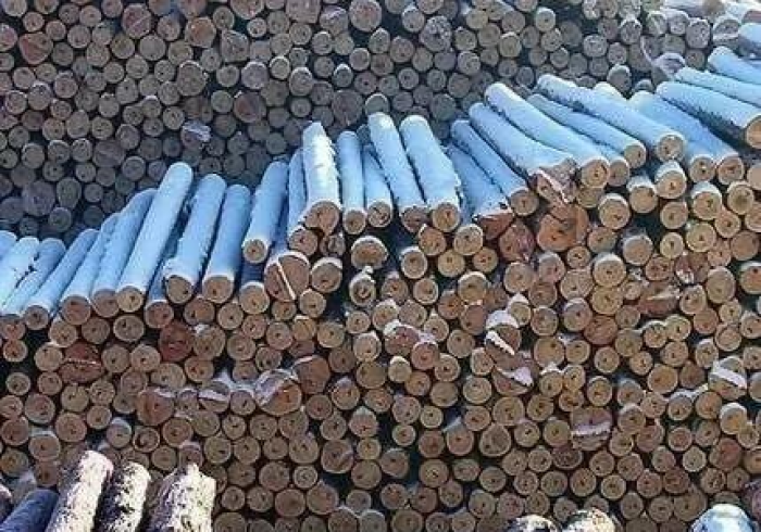 2分钟学会“传送屋有挂吗?(免安装设备) 2分钟学会“传送屋有挂吗?(免安装设备)