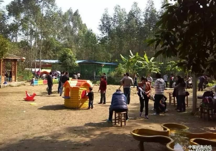 分享程序“南宁麻将机程序控牌器”(分享装挂详细步骤)